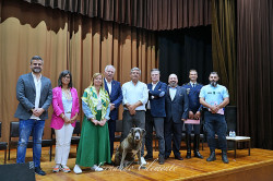 Conferência  : 